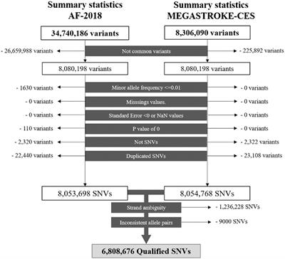 A Polygenic Risk Score Based on a Cardioembolic Stroke Multitrait Analysis Improves a Clinical Prediction Model for This Stroke Subtype